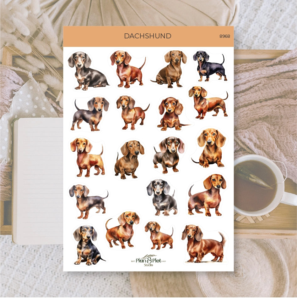 Dachshund-tarra-arkki