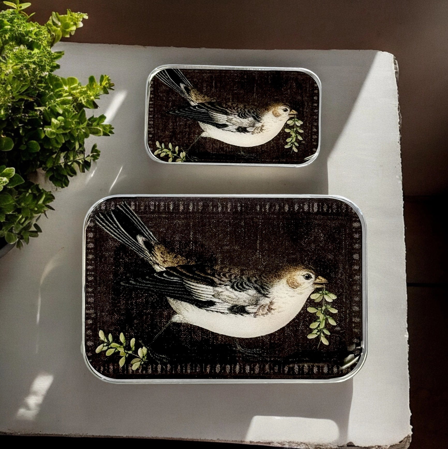 Birdsong -peltirasia